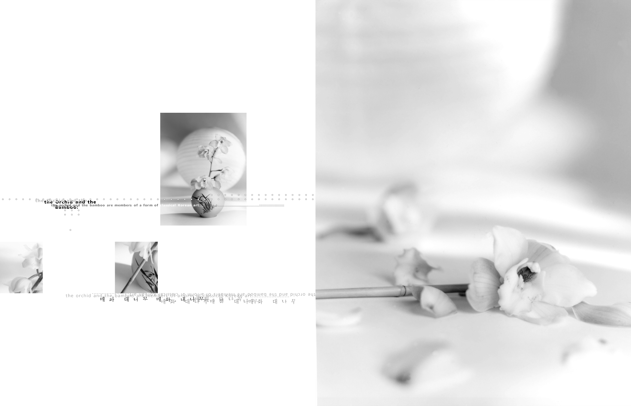 Ginger-Cho-Korean-Book-orchid